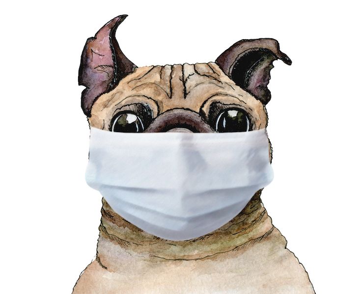 To Mask or Not to Mask?